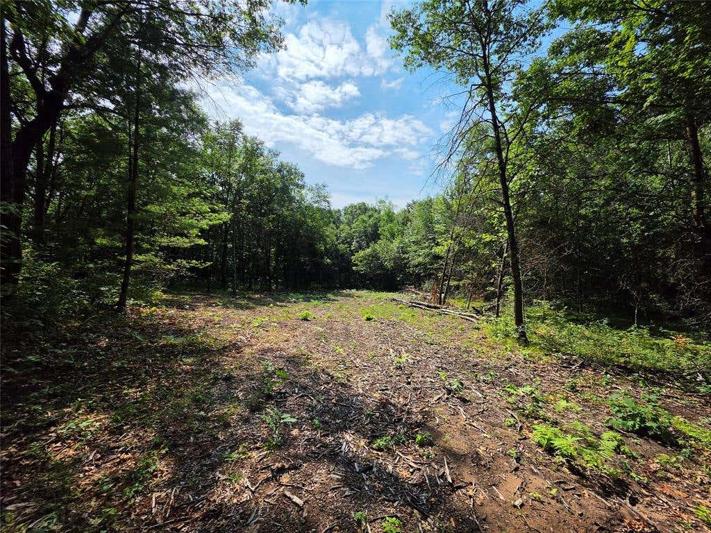 Photo of 27687 295th AVENUE, Holcombe, WI 54745 (MLS # 1603802)