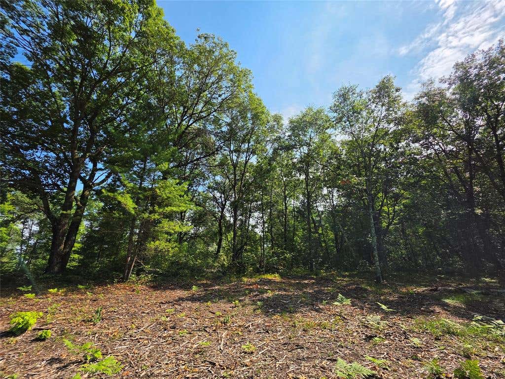 Photo of 27687 295th AVENUE, Holcombe, WI 54745 (MLS # 1603802)