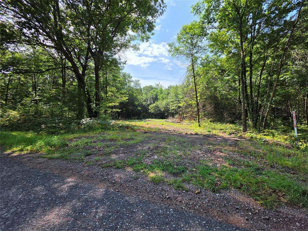 Photo of 27687 295th AVENUE, Holcombe, WI 54745 (MLS # 1603802)