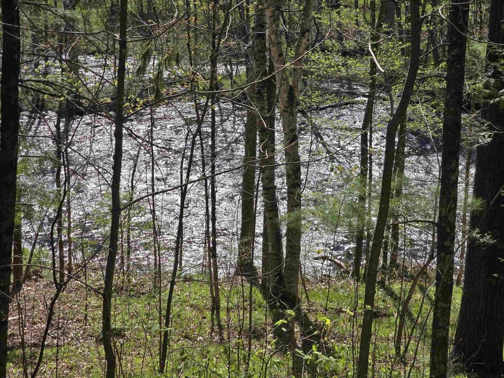 Photo of 14149 Section 4 LANE, Mountain, WI 54149 (MLS # 50325708)
