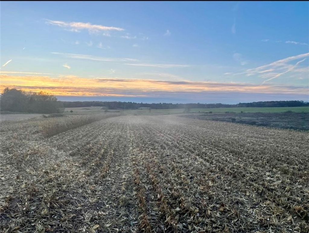 Photo of TBD 85th STREET, Clear Lake, WI 54005 (MLS # 1597474)