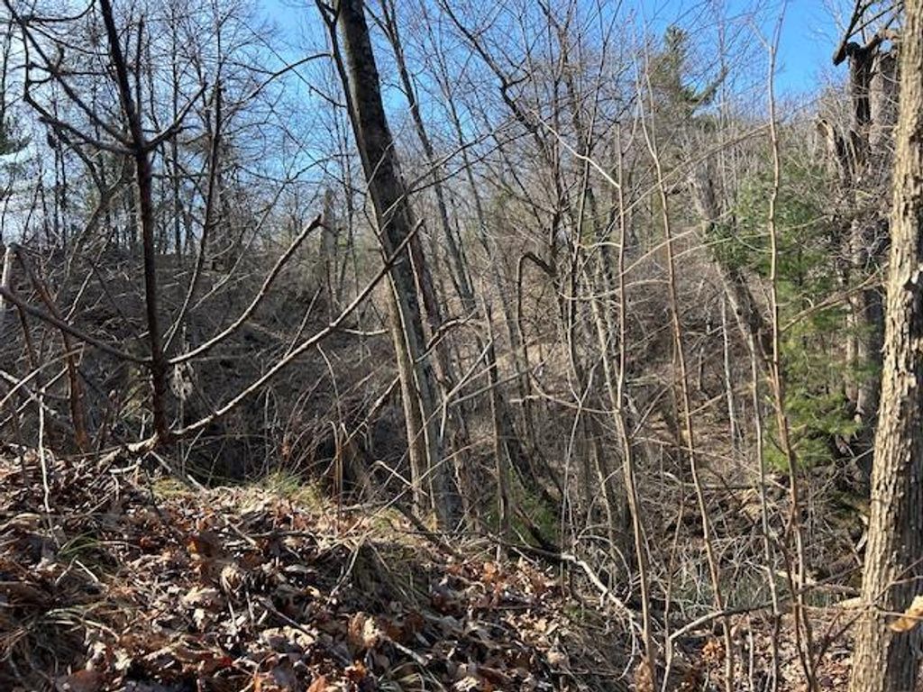 Photo of 1111 State Hwy 12, Black River Falls, WI 54615 (MLS # 50325923)