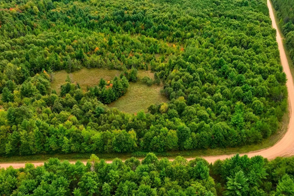 Photo of 84+/- AC Horse Creek Rd Acres ACRES, Augusta, WI 54729 (MLS # 2033872)