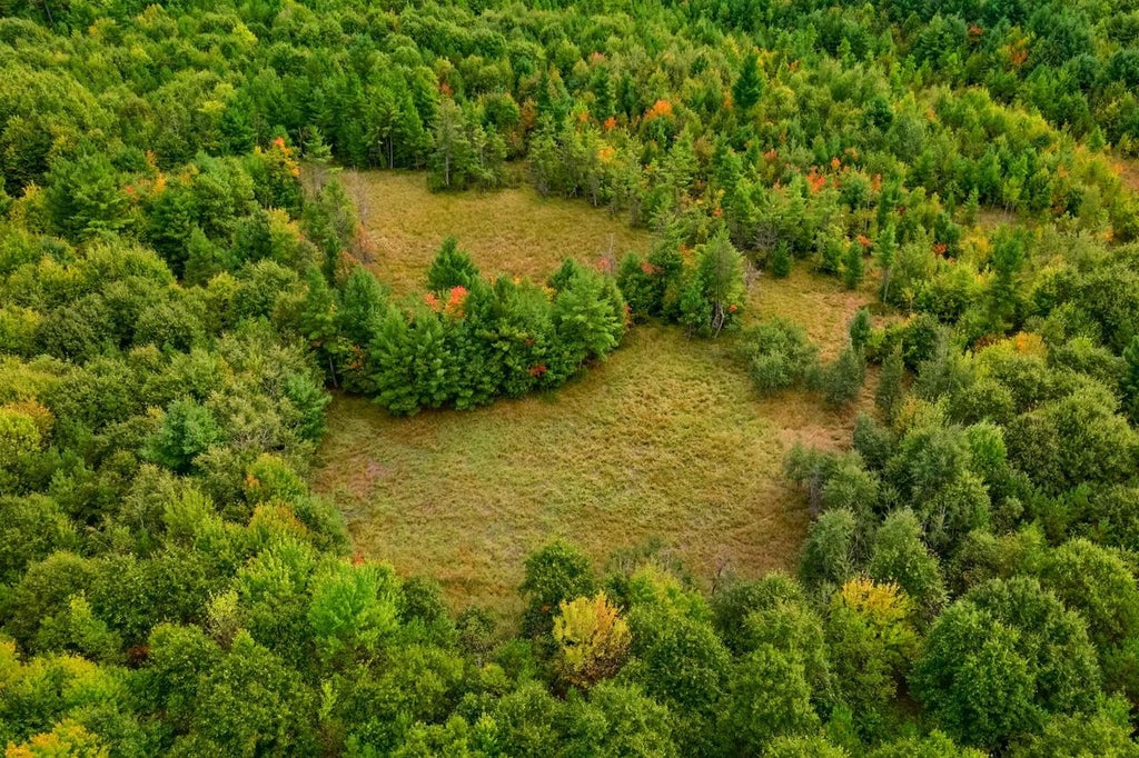 Photo of 84+/- AC Horse Creek Rd Acres ACRES, Augusta, WI 54729 (MLS # 2033872)