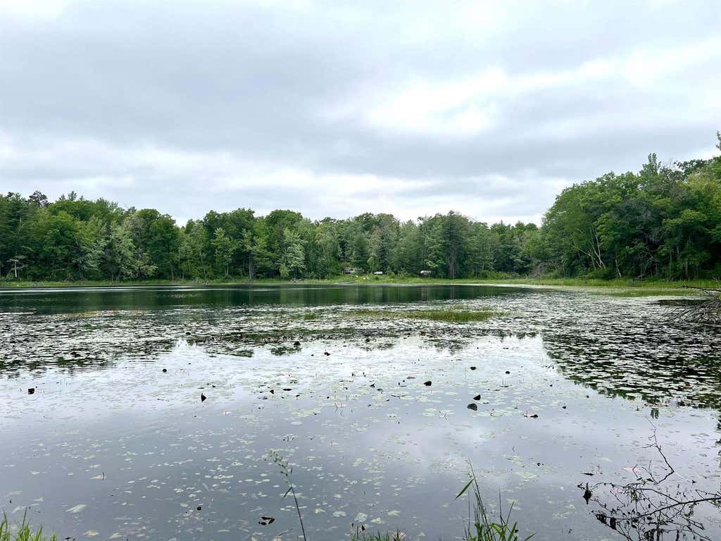 Photo of County P ROAD, Pound, WI 54161 (MLS # 50328664)