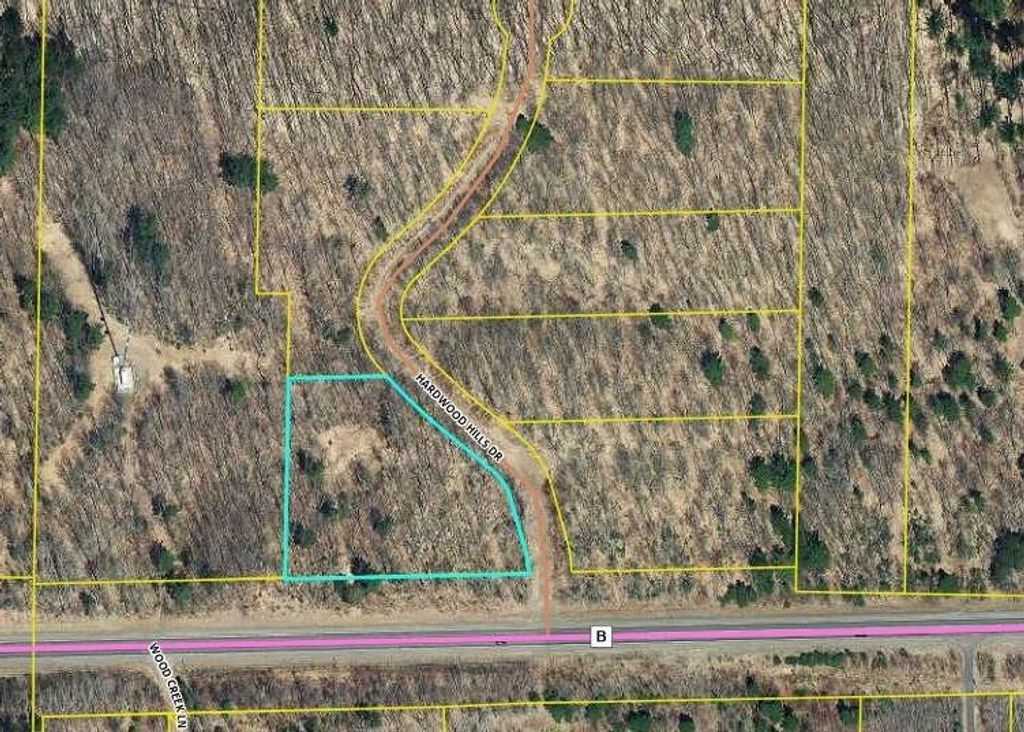 Photo of 10123N Hardwood Hills DRIVE, Hayward, WI 54843 (MLS # 1597947)