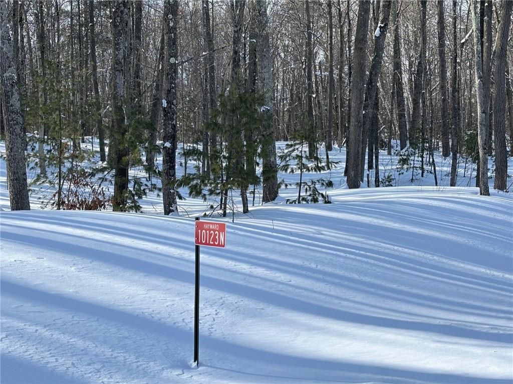 Photo of 10123N Hardwood Hills DRIVE, Hayward, WI 54843 (MLS # 1597947)