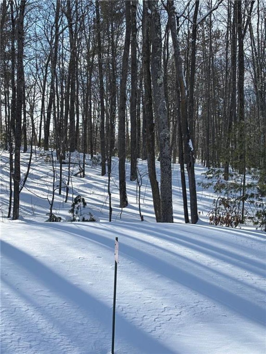 Photo of 10123N Hardwood Hills DRIVE, Hayward, WI 54843 (MLS # 1597947)