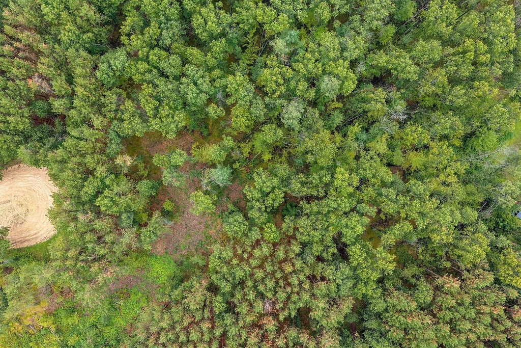 Photo of W1813 Broken Bow ROAD, Keshena, WI 54135 (MLS # 50331572)