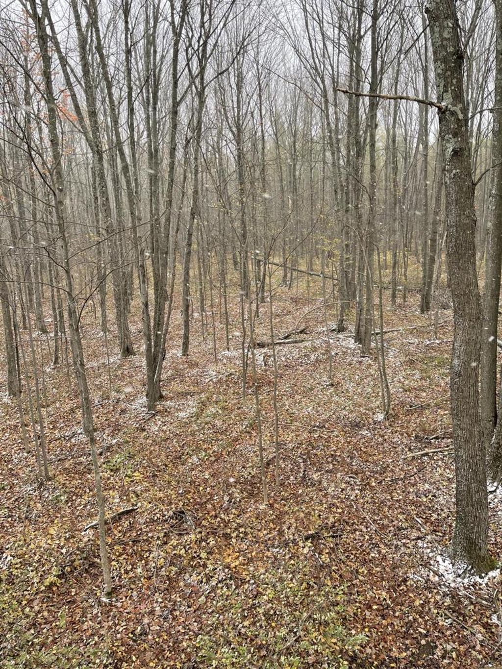 Photo of 4812 N Spur Five ROAD, Sheldon, WI 54766 (MLS # 1948239)