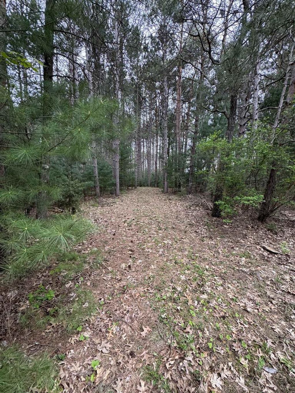 Photo of N2343 E Pine CIRCLE, Redgranite, WI 54970 (MLS # 2022900)
