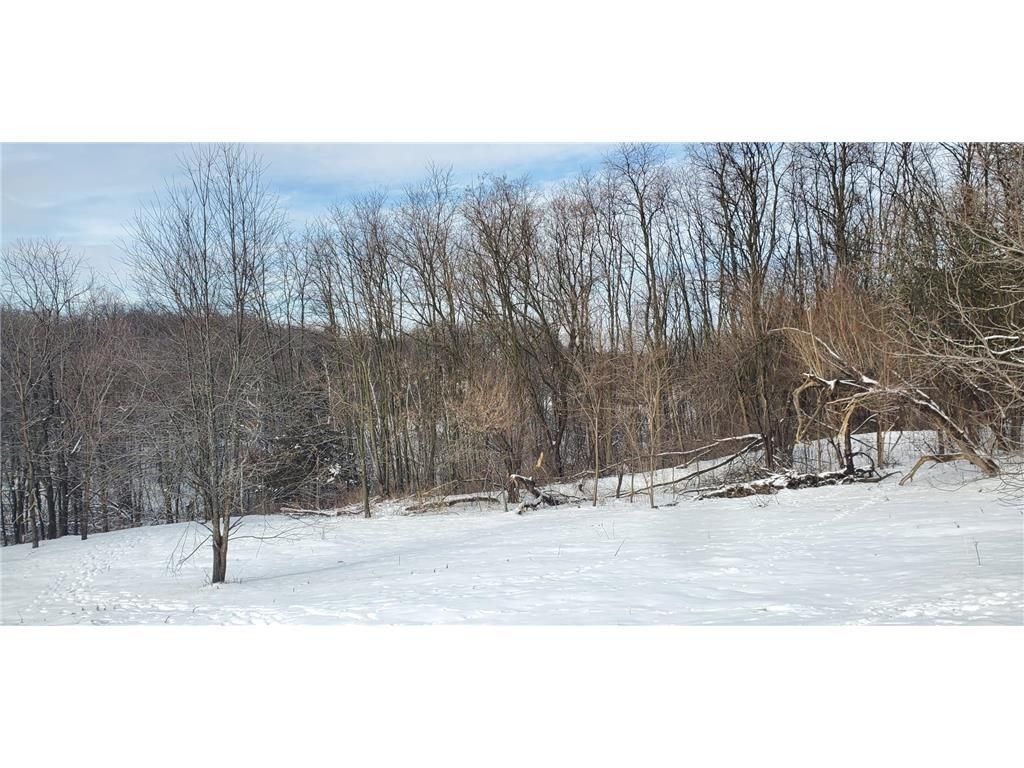 Photo of 10 Acres Highland VIEW, Houlton, WI 54082 (MLS # 7014559)