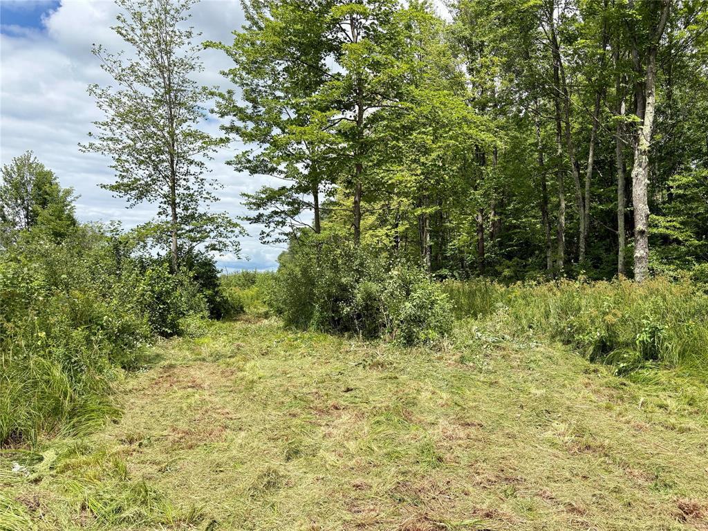 Photo of 000 Girod Rd, Ladysmith, WI 54848 (MLS # 1603586)