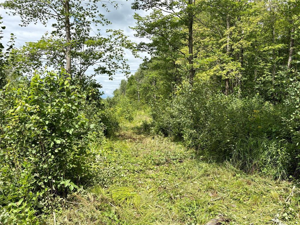 Photo of 000 Girod Rd, Ladysmith, WI 54848 (MLS # 1603586)