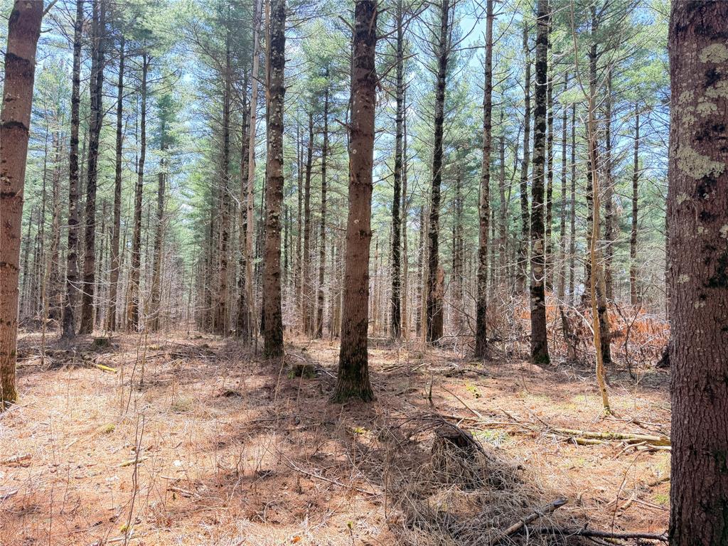 Photo of 0 Star Lake ROAD, Rice Lake, WI 54868 (MLS # 1604637)