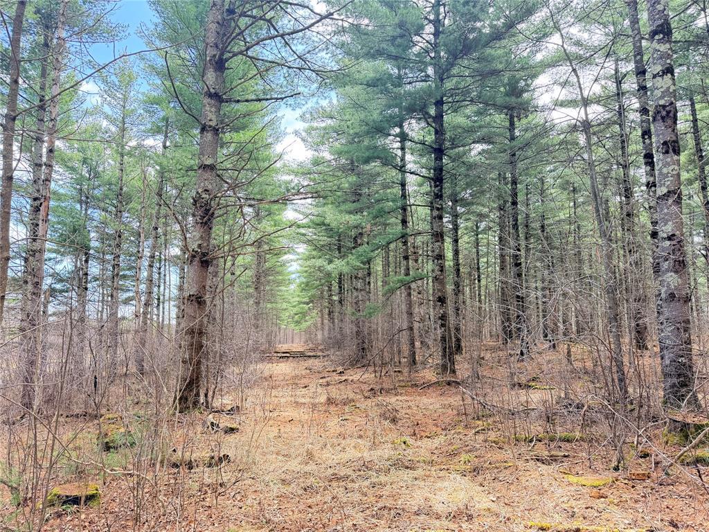 Photo of 0 Star Lake ROAD, Rice Lake, WI 54868 (MLS # 1604637)