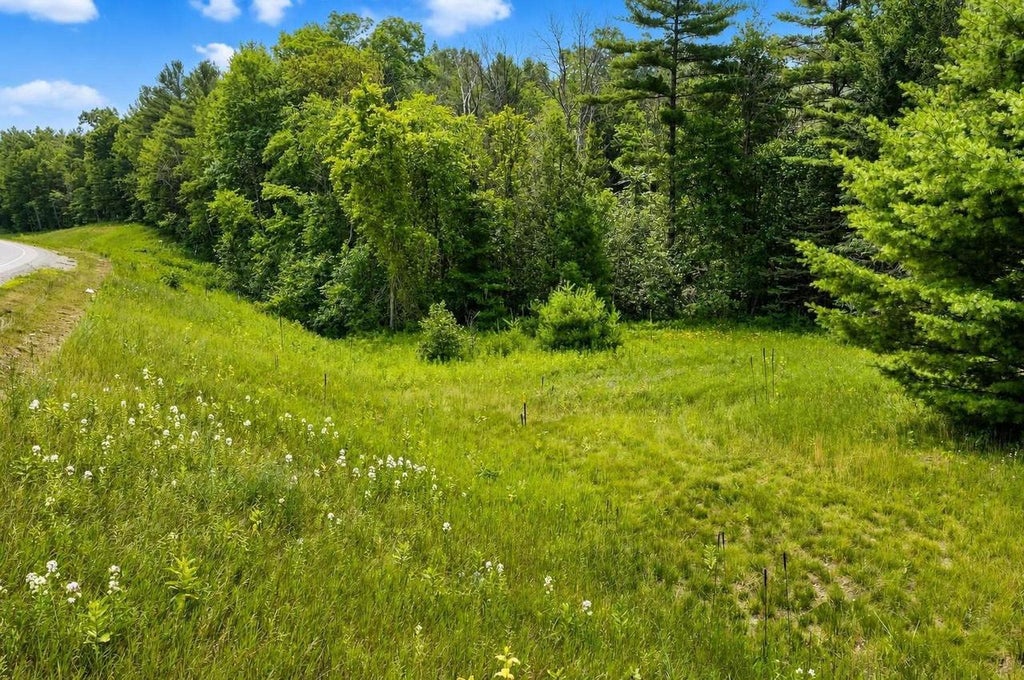 Photo of County I, Lena, WI 54139 (MLS # 50329333)