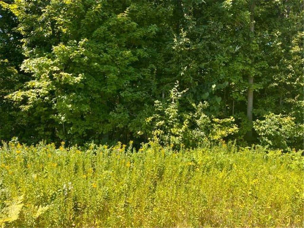 Photo of Lot 2 County Rd BB, Woodville, WI 54028 (MLS # 7123758)