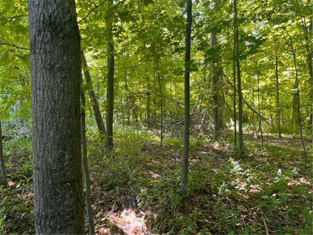 Photo of Lot 2 County Rd BB, Woodville, WI 54028 (MLS # 7123758)
