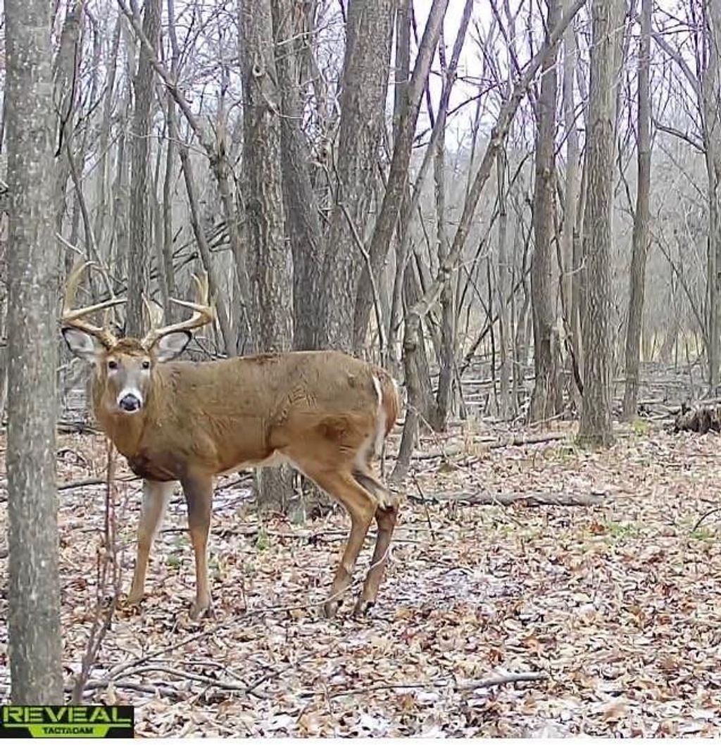 Photo of 17.75 Acres County Road G, Oxford, WI 53952 (MLS # 2015581)