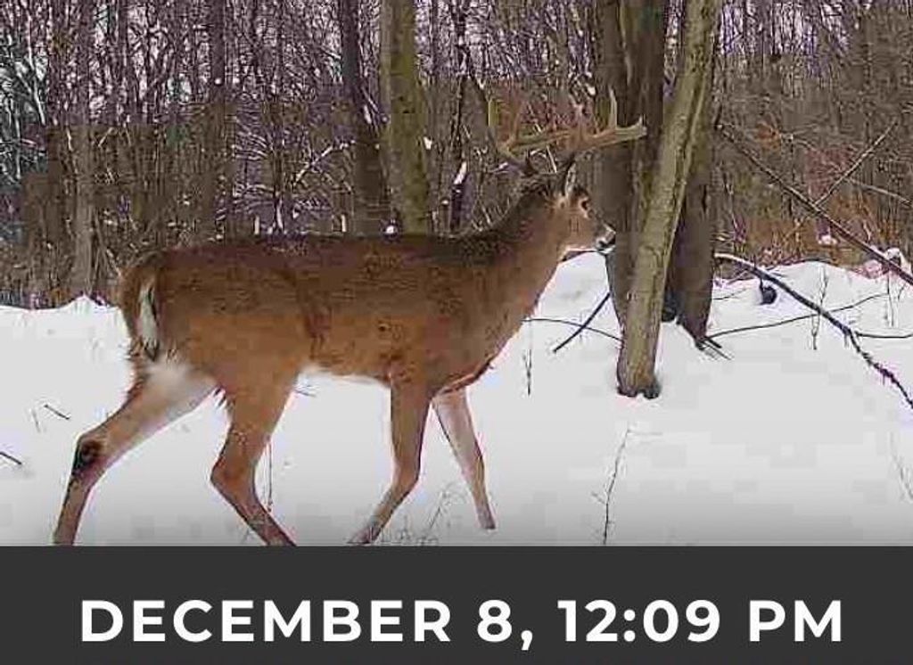 Photo of 17.75 Acres County Road G, Oxford, WI 53952 (MLS # 2015581)