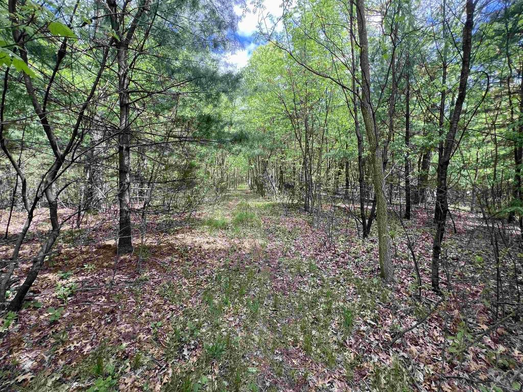 Photo of 17.75 Acres County Road G, Oxford, WI 53952 (MLS # 2015581)