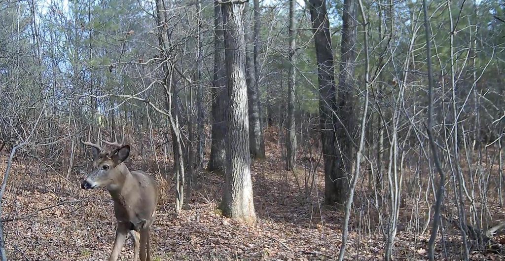 Photo of 0000 Granite Ridge ROAD, Stevens Point, WI 54481 (MLS # 2017605)