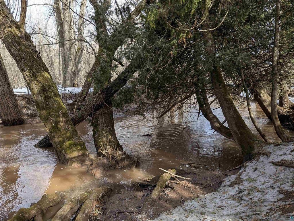 Photo of 10550 Flagg River ROAD, Port Wing, WI 54865 (MLS # 6124218)