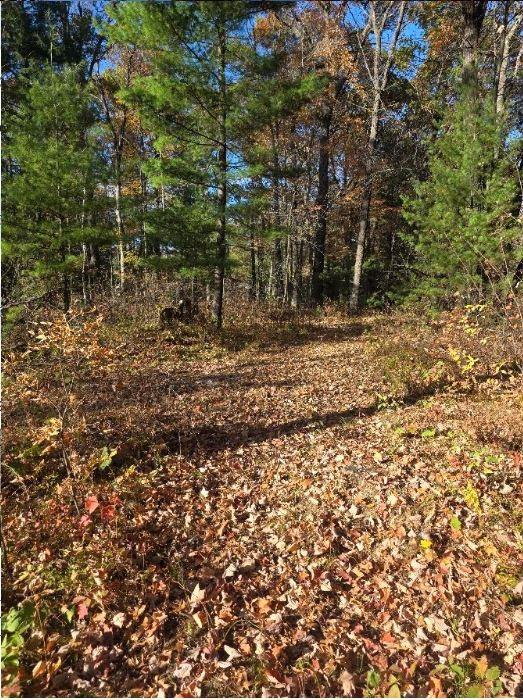 Photo of 0 Leghorn DRIVE, Siren, WI 54872 (MLS # 1606242)