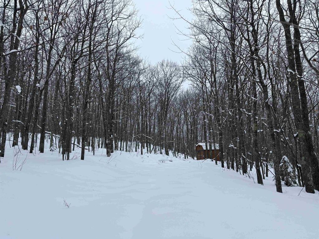 Photo of 79480 Sweet Fern LANE, Washburn, WI 54891 (MLS # 6123281)