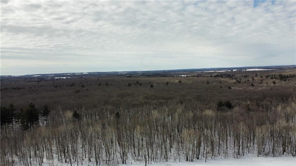 Photo of 1768 290th Street, Cadott, WI 54727 (MLS # 1598349)