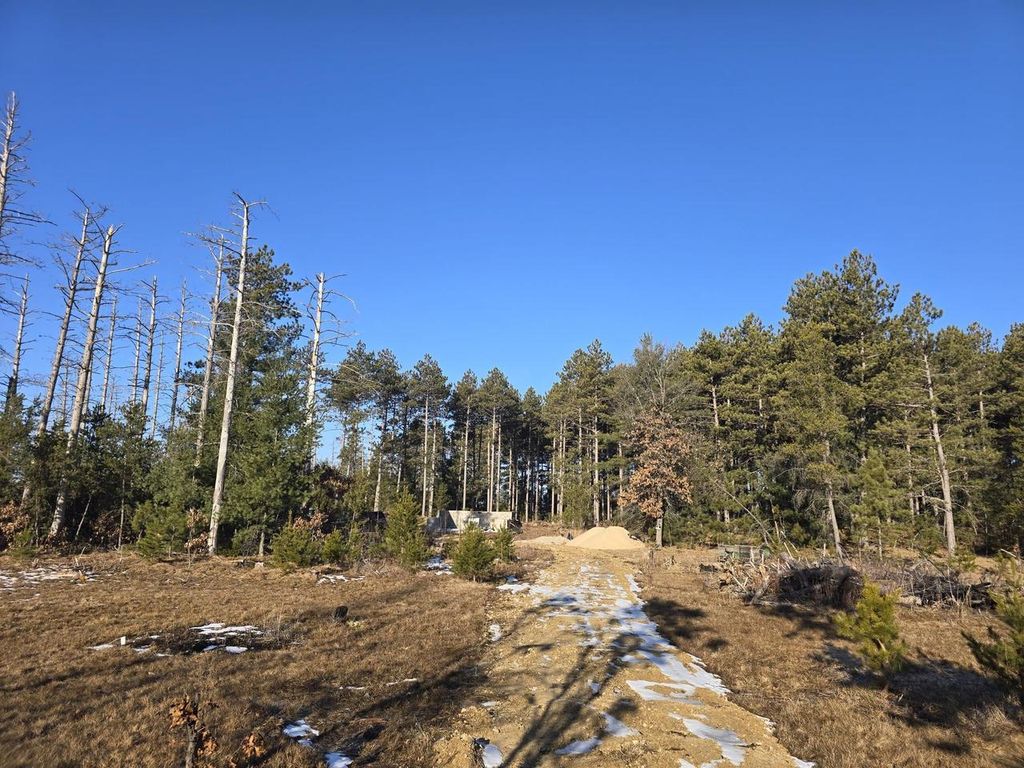 Photo of 1155 W 16th COURT, Arkdale, WI 54613 (MLS # 22600904)