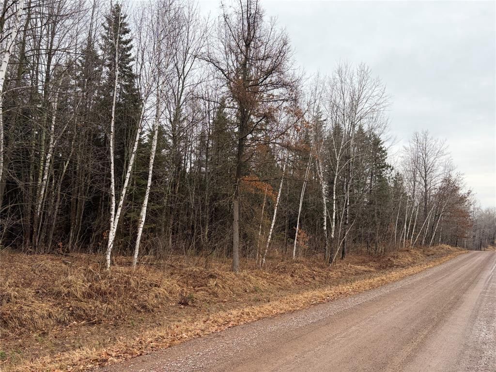 Photo of ON Sheep Camp Road, Ladysmith, WI 54848 (MLS # 1599295)