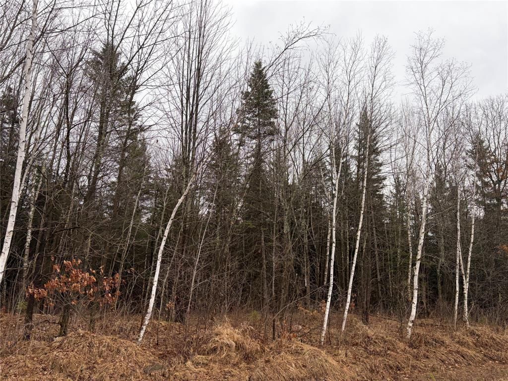 Photo of ON Sheep Camp Road, Ladysmith, WI 54848 (MLS # 1599295)