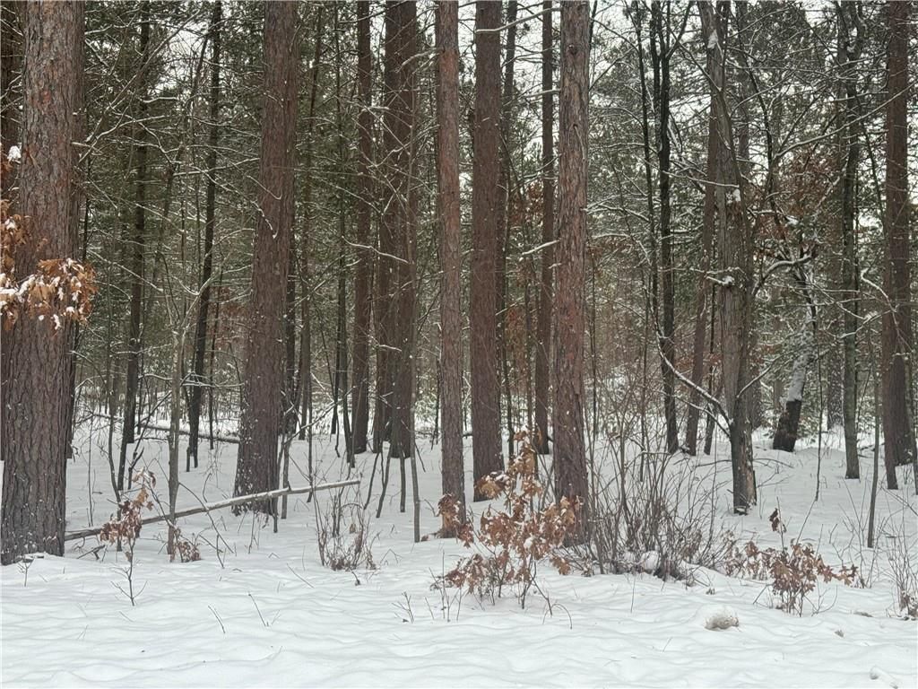 Photo of 0 Cty Hwy A, Scott, WI 54801 (MLS # 1597916)