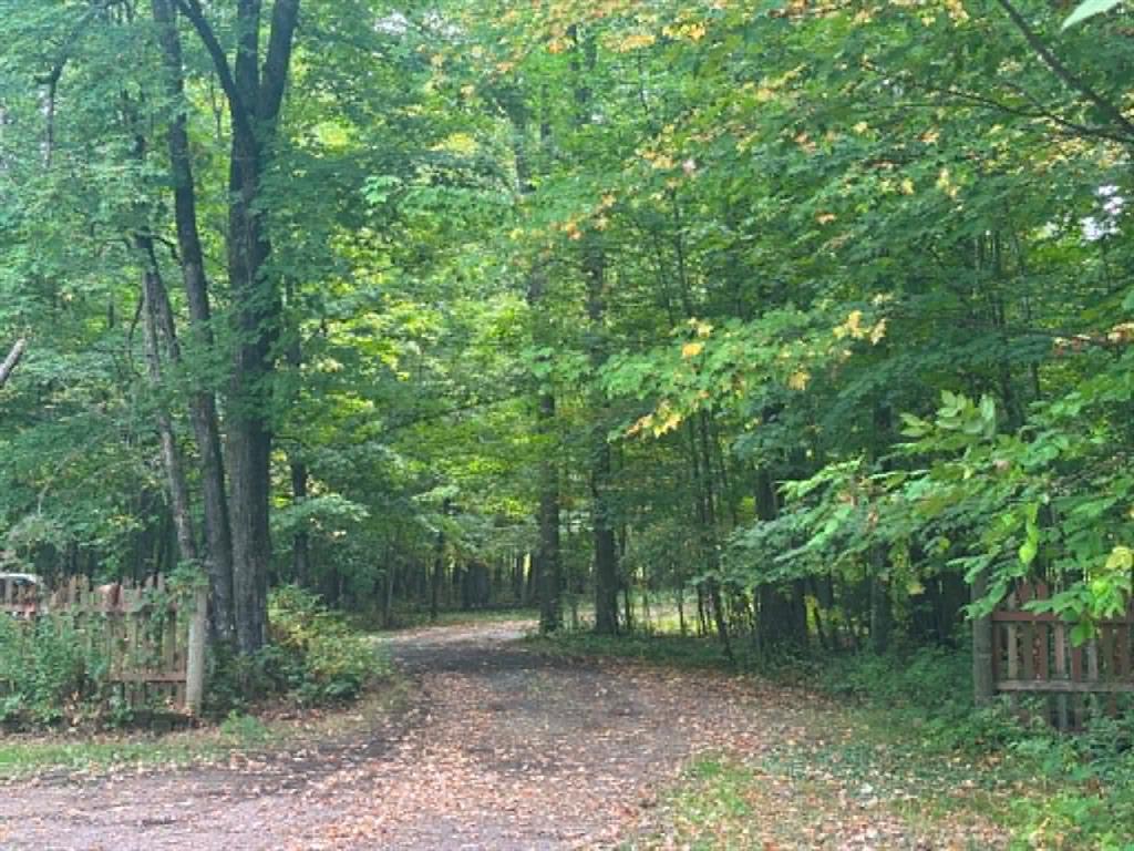 Photo of N13638 Dickerson AVENUE, Thorp, WI 54771 (MLS # 1604680)