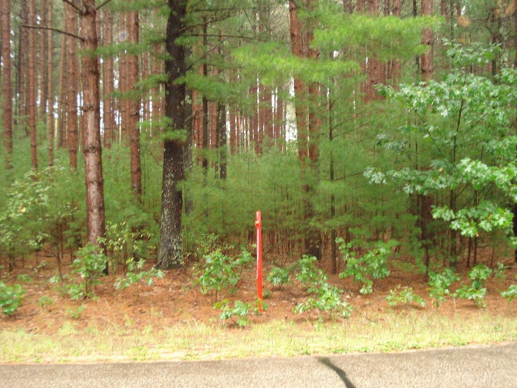 Photo of 4th AVENUE, Redgranite, WI 54970 (MLS # 50332657)