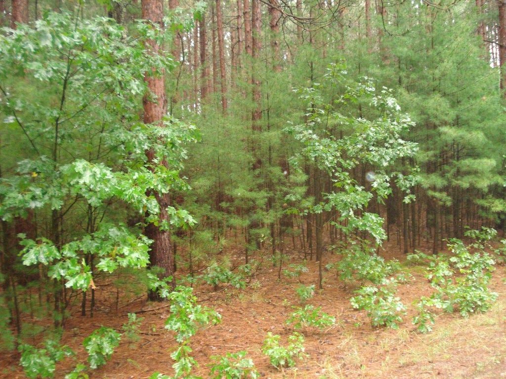 Photo of 4th AVENUE, Redgranite, WI 54970 (MLS # 50332657)