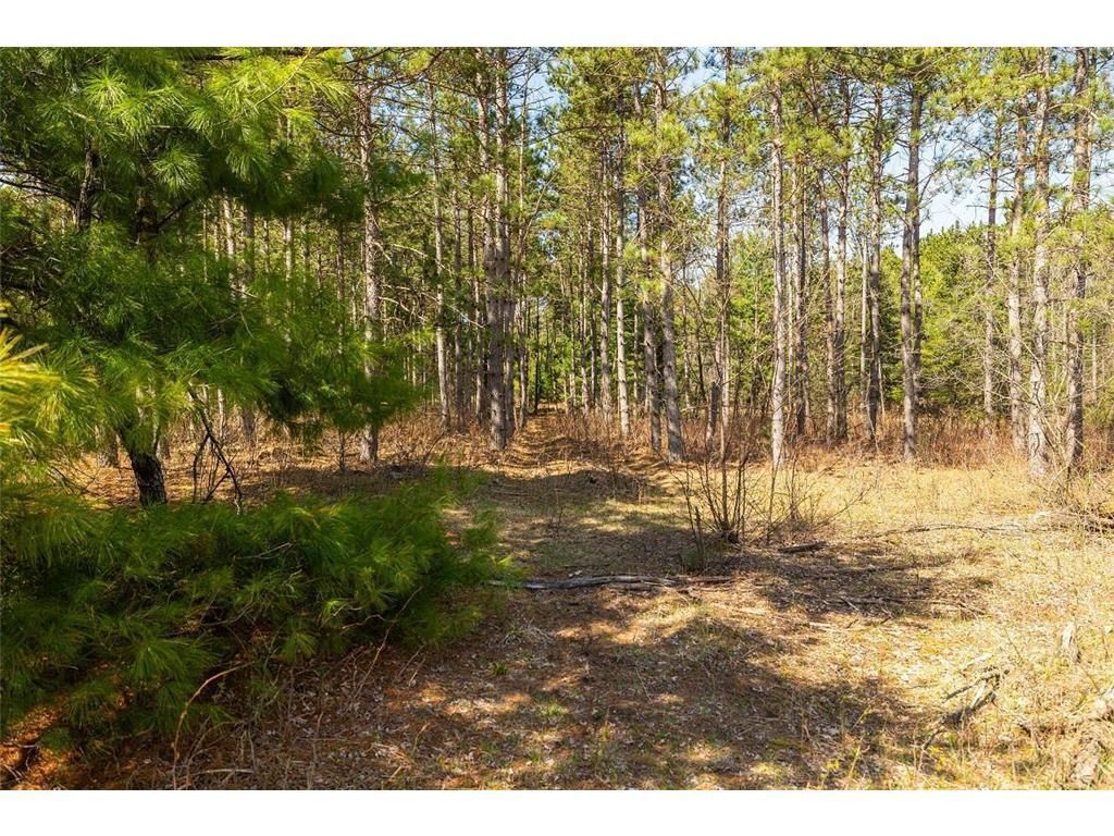 Photo of 0 Prairie ROAD, Osseo, WI 54758 (MLS # 7059100)