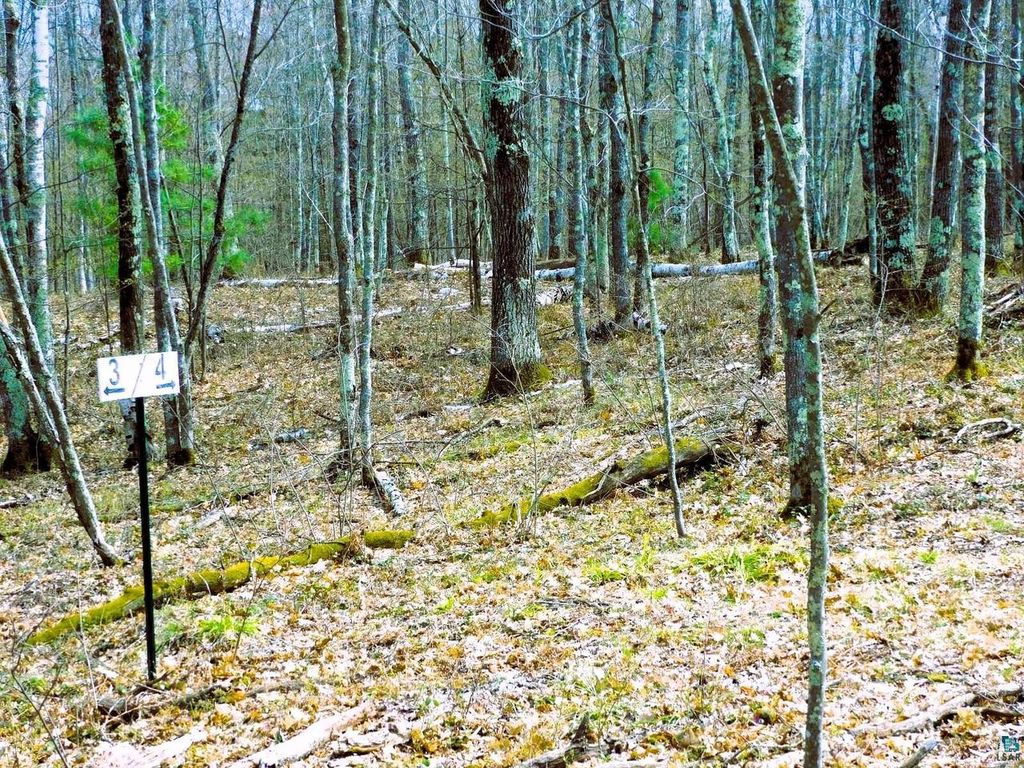 Photo of XXXX Polkoski WAY, Iron River, WI 54847 (MLS # 6125201)