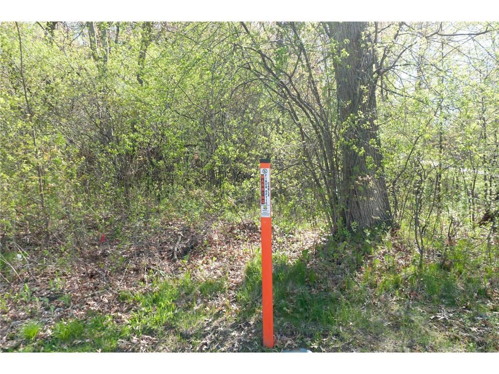 Photo of TBD 20 1/8 STREET, Cameron, WI 54822 (MLS # 7072037)