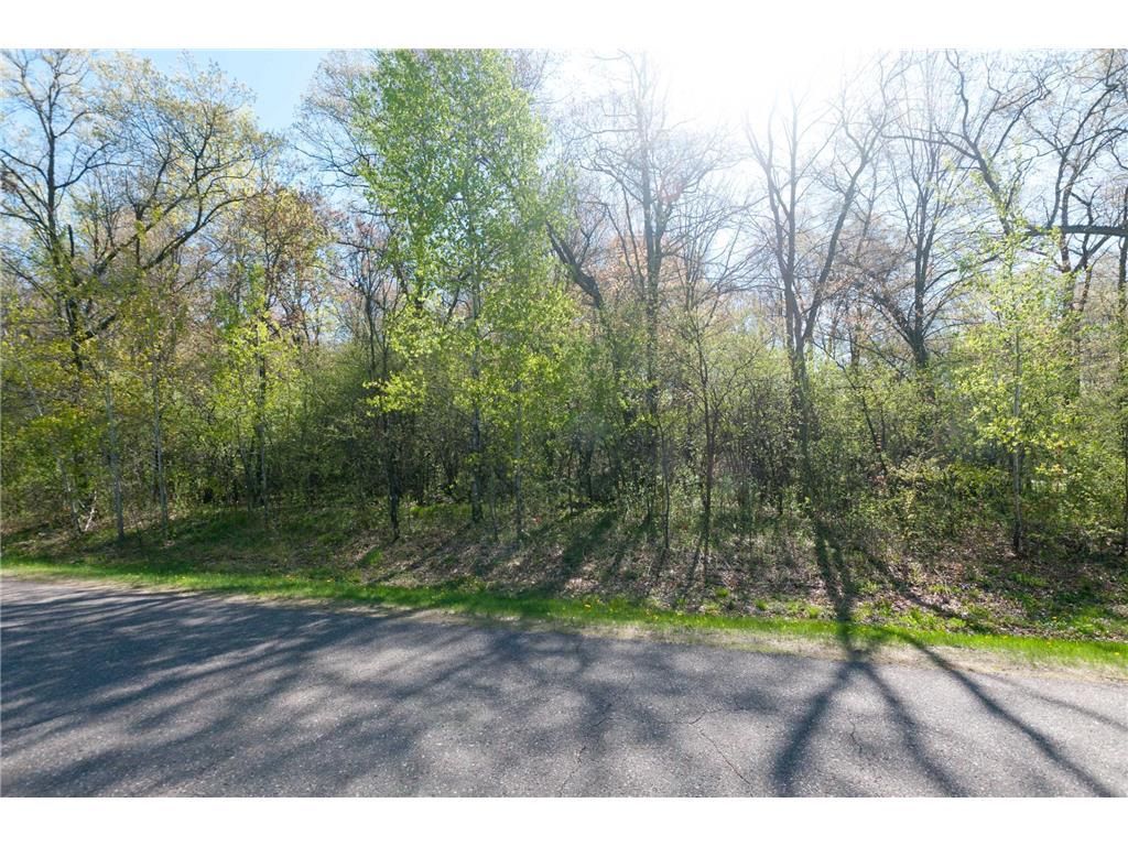 Photo of TBD 20 1/8 STREET, Cameron, WI 54822 (MLS # 7072037)