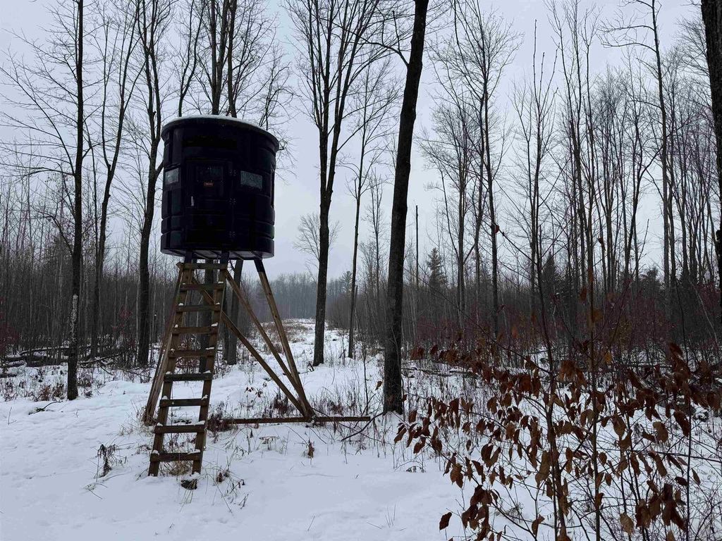 Photo of 4400 N Deer LANE, Mosinee, WI 54455 (MLS # 2014869)