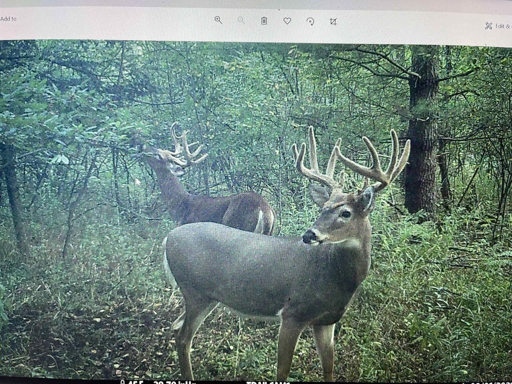 Photo of 4400 N Deer LANE, Mosinee, WI 54455 (MLS # 2014869)