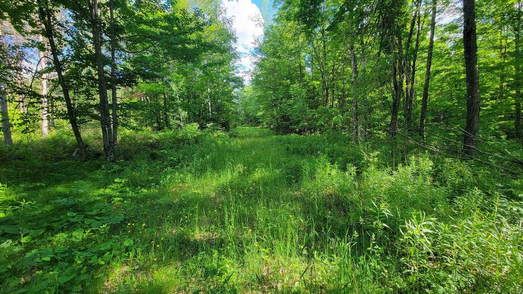 Photo of on Hunting River ROAD, Elcho, WI 54428 (MLS # 22602769)
