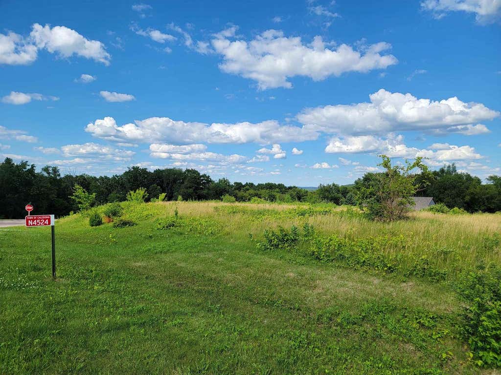 Photo of N4524 Prairie Knoll CIRCLE, Portage, WI 53901 (MLS # 2026454)