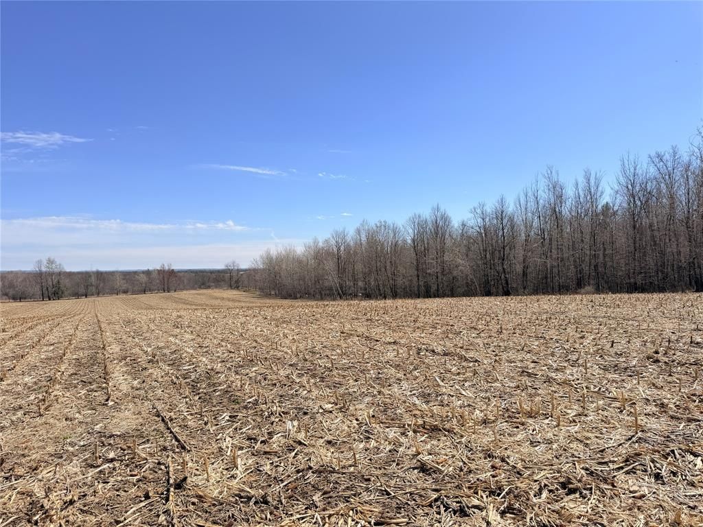 Photo of Lot 2 14 1/2 STREET, Rice Lake, WI 54868 (MLS # 1599170)