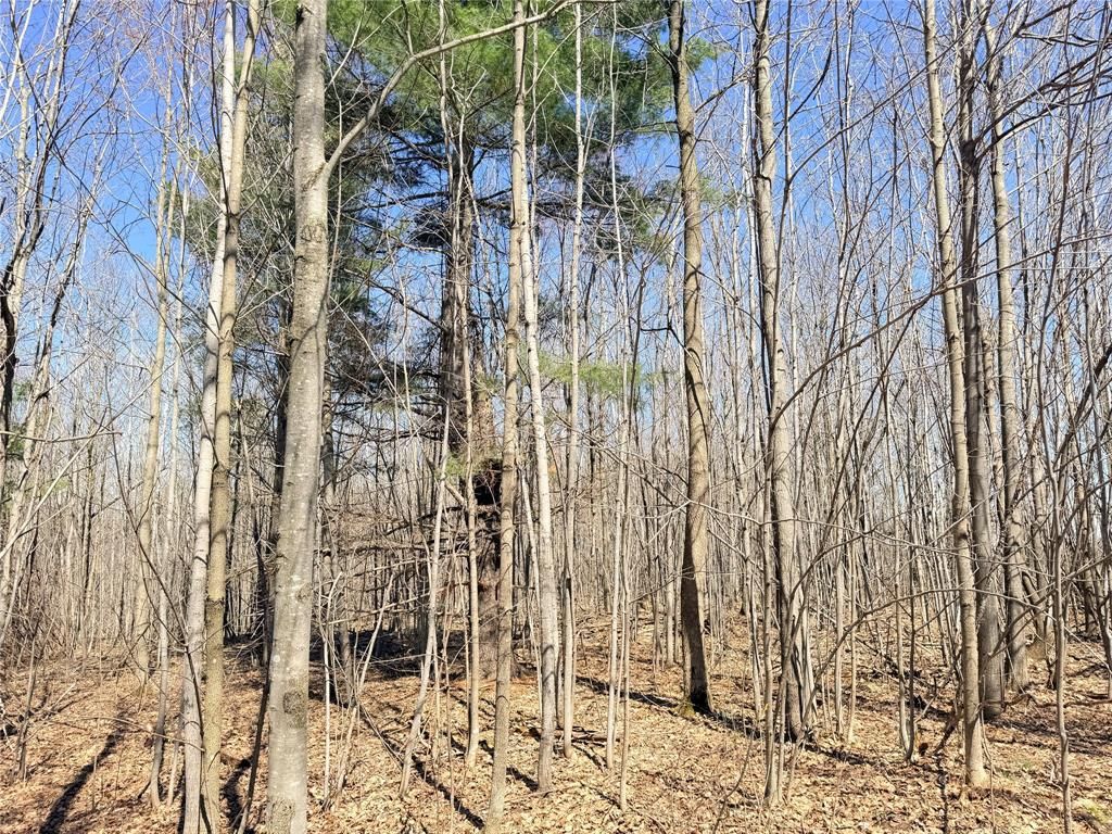 Photo of Lot 2 14 1/2 STREET, Rice Lake, WI 54868 (MLS # 1599170)