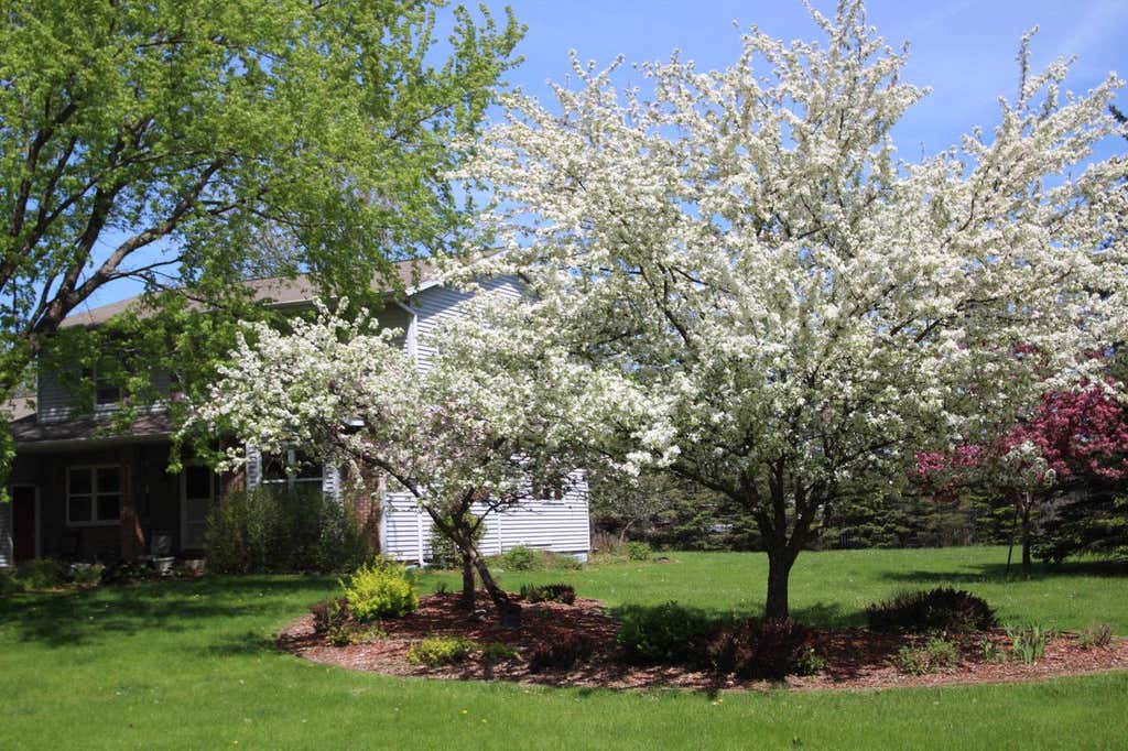 Photo of 6306 Hubert AVENUE, Weston, WI 54476 (MLS # 22603871)