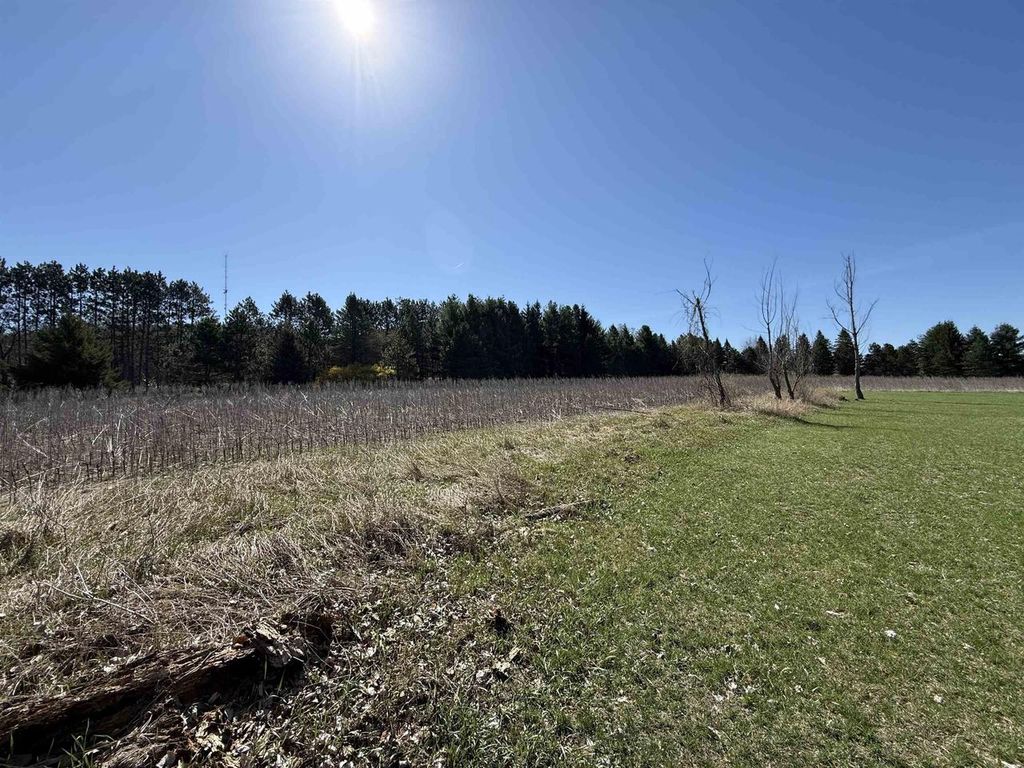 Photo of W11453 Mill Creek ROAD, Gresham, WI 54128 (MLS # 50324401)